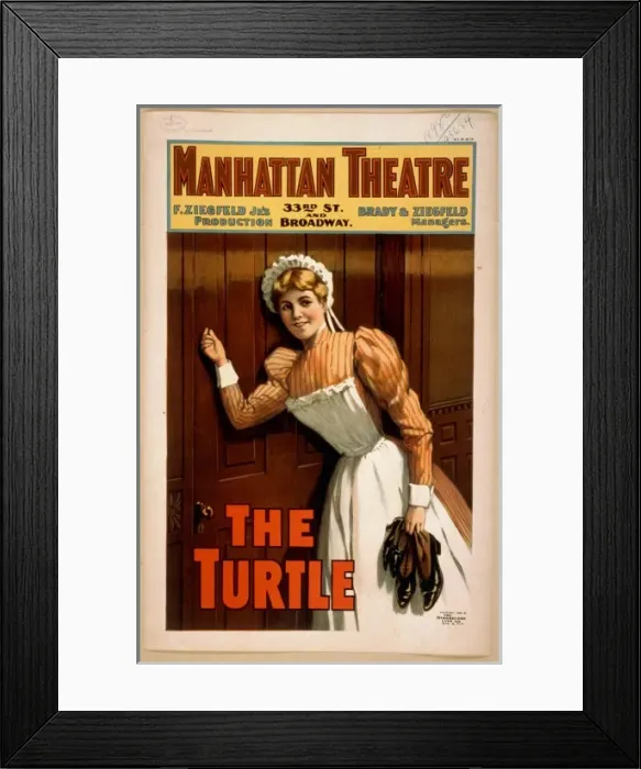 Framed Print : The turtle F. Ziegfeld Jrs production Framed Print : The turtle F. Ziegfeld Jrs production