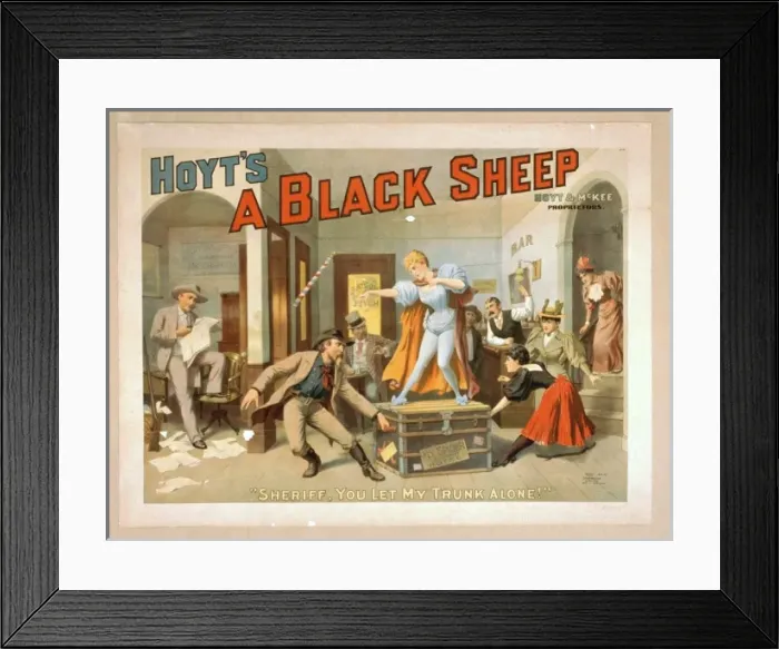 Framed Print : Hoyts A black sheep Framed Print : Hoyts A black sheep