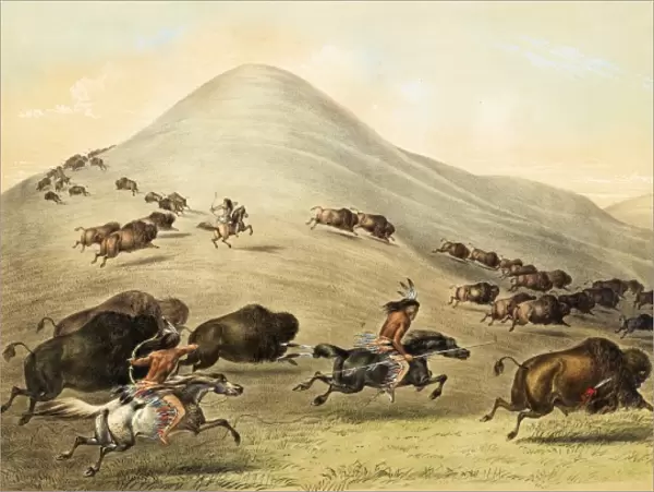 Native American Indian Buffalo Hunt