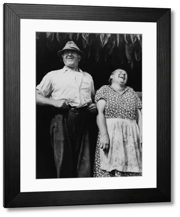 Framed Print : Mr. Colson, tobacco farmer near Suffield, Connecticut hangin Framed Print : Mr. Colson, tobacco farmer near Suffield, Connecticut hangin