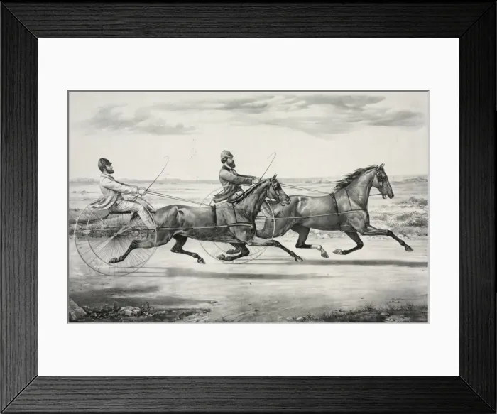 Framed Print : Flora Temple and Princess: In their great match for $5000, o Framed Print : Flora Temple and Princess: In their great match for $5000, o