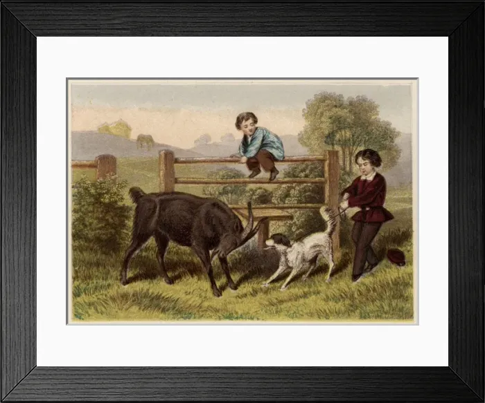 Framed Print : Two Victorian boys with dog and goat Framed Print : Two Victorian boys with dog and goat