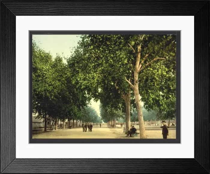 Framed Print : The Promenade, Montpelier, France Framed Print : The Promenade, Montpelier, France