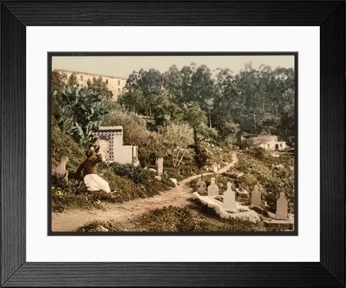 Framed Print : The cemetery, Algiers, Algeria Framed Print : The cemetery, Algiers, Algeria