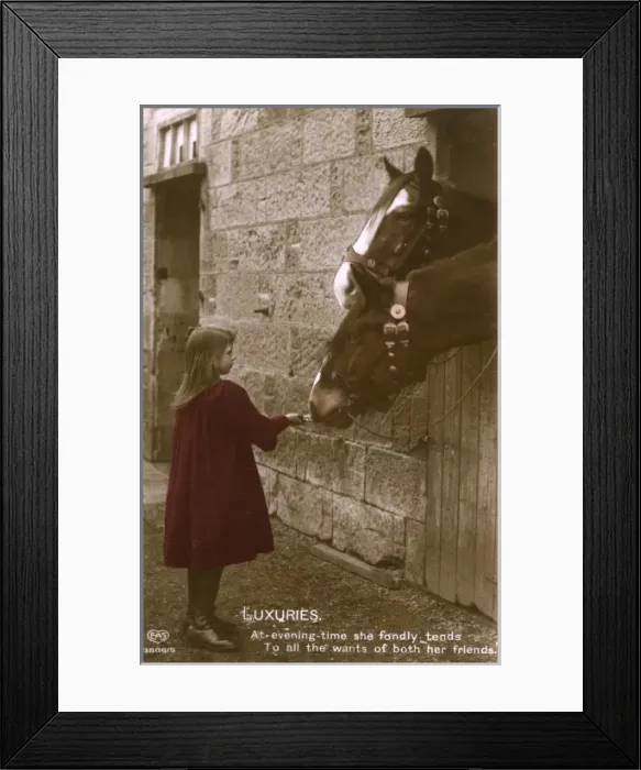 Framed Print : Little Girl feeds her two horses in the stables Framed Print : Little Girl feeds her two horses in the stables