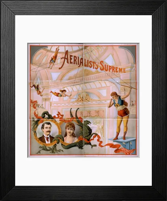 Framed Print : Aerialists supreme Framed Print : Aerialists supreme