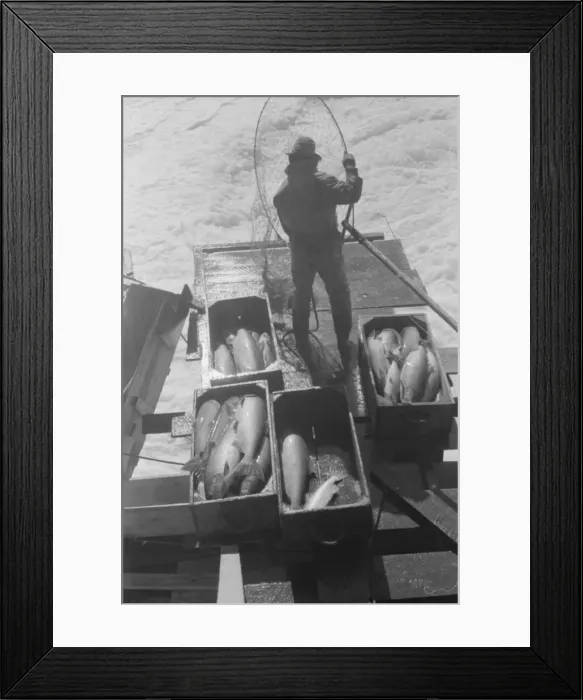 Framed Print : Indians fishing for salmon, Celilo Falls, Oregon Framed Print : Indians fishing for salmon, Celilo Falls, Oregon
