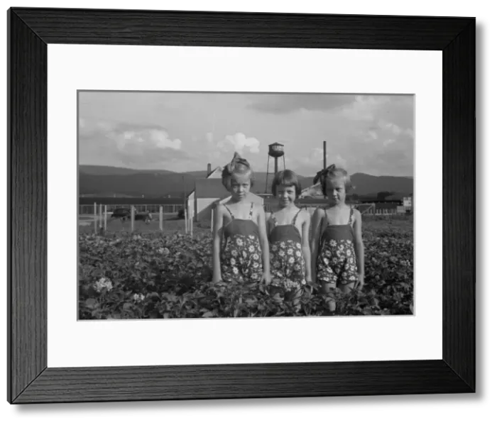Framed Print : Daughters of a Tygart Valley homesteader. House and factory Framed Print : Daughters of a Tygart Valley homesteader. House and factory