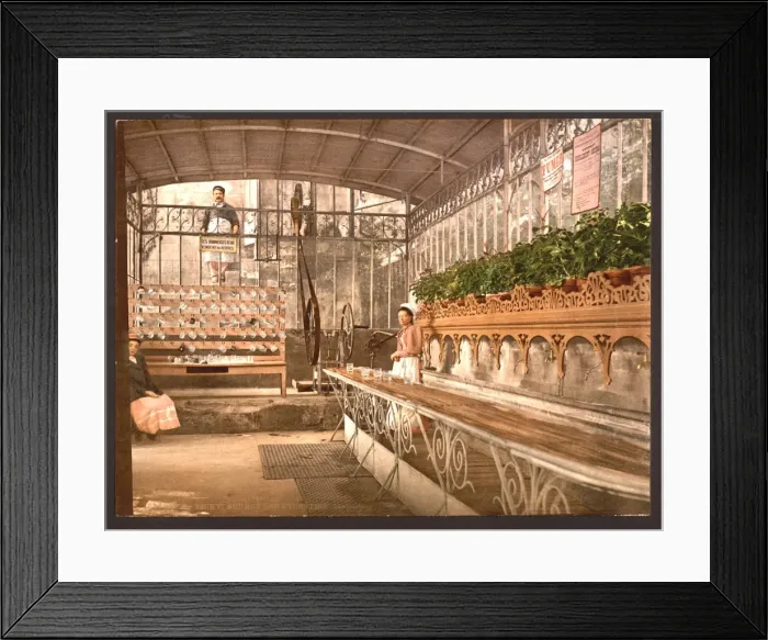 Framed Print : Spring of the Celestins, I, interior, Vichy, France