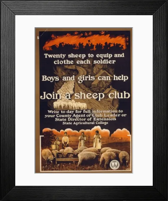 Framed Print : Join a sheep club Twenty sheep to equip and clothe each sold Framed Print : Join a sheep club Twenty sheep to equip and clothe each sold