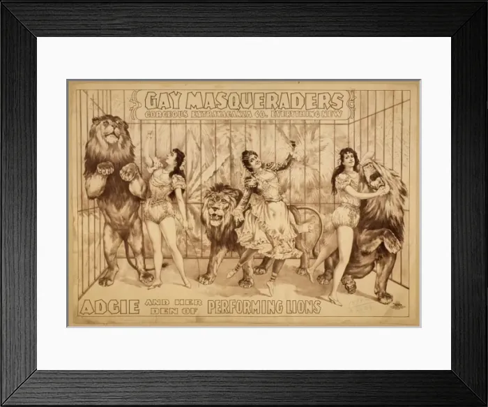 Framed Print : Gay Masqueraders Gorgeous Extravaganza Co. everything new Framed Print : Gay Masqueraders Gorgeous Extravaganza Co. everything new