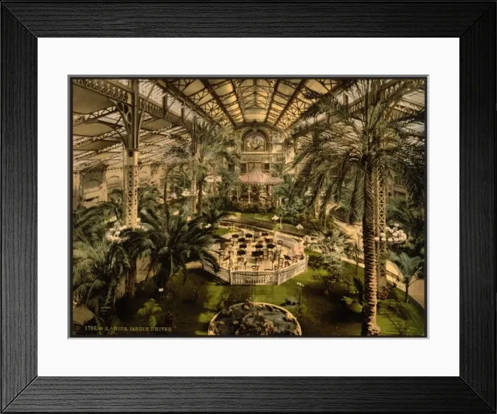 Framed Print : Winter garden (interior), Nice, Riviera Framed Print : Winter garden (interior), Nice, Riviera