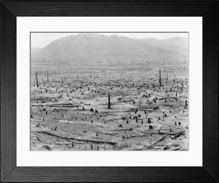 Framed Print : Priest River Valley, where many settlers grow hay between th Framed Print : Priest River Valley, where many settlers grow hay between th