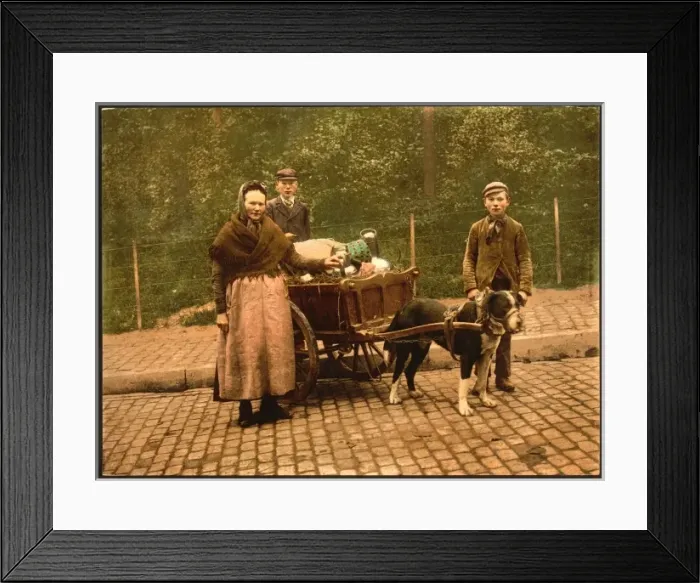 Framed Print : Milksellers, Brussels, Belgium Framed Print : Milksellers, Brussels, Belgium