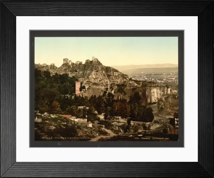 Framed Print : Botanical gardens, Tiflis, Russia, (i. e. Tbilisi, Georgia) Framed Print : Botanical gardens, Tiflis, Russia, (i. e. Tbilisi, Georgia)