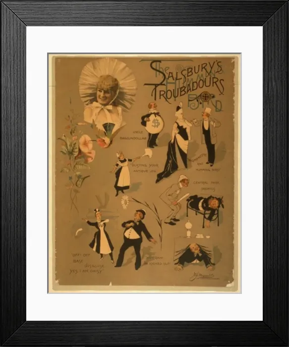 Framed Print : Salsburys Troubadours the humming bird Framed Print : Salsburys Troubadours the humming bird