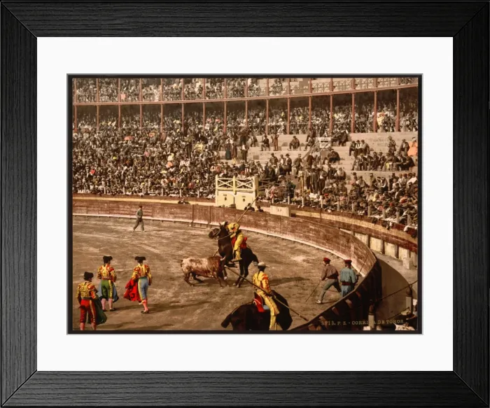 Framed Print : A bull fight, Barcelona, Spain Framed Print : A bull fight, Barcelona, Spain