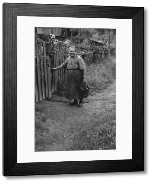 Framed Print : Hungarian miners wife bringing home coal for the stove from Framed Print : Hungarian miners wife bringing home coal for the stove from