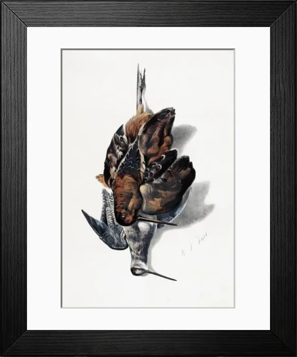 Framed Print : American Feathered Game Framed Print : American Feathered Game