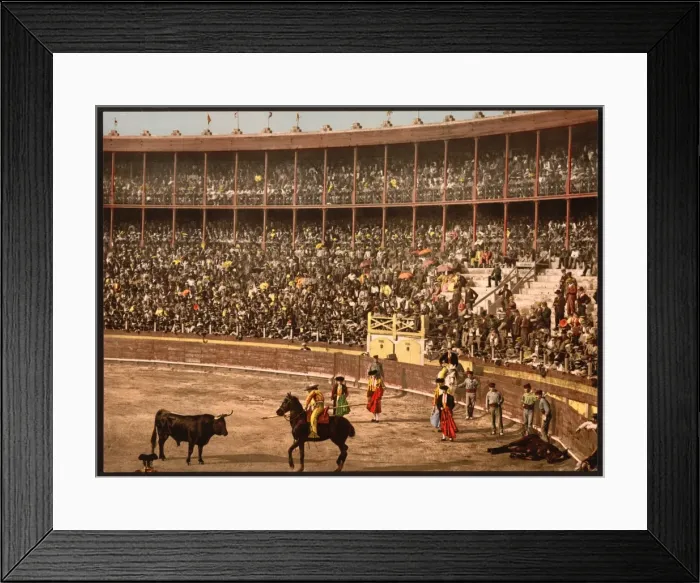Framed Print : A bull fight, Barcelona, Spain Framed Print : A bull fight, Barcelona, Spain
