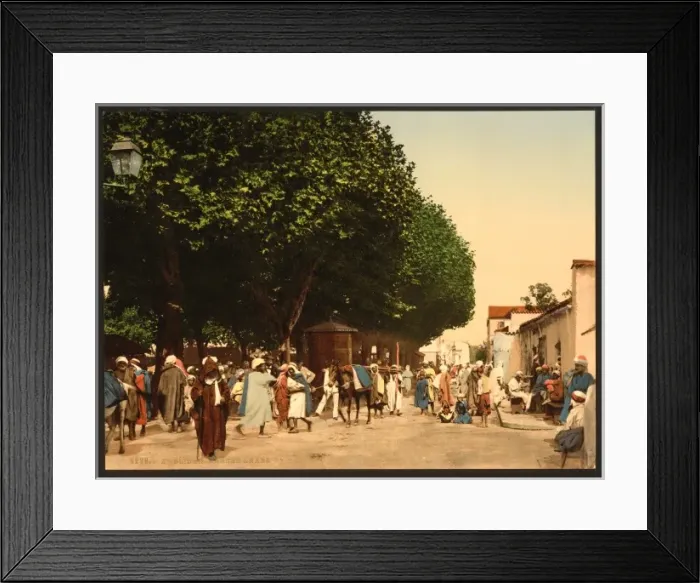 Framed Print : Arab market, Blidah, Algeria Framed Print : Arab market, Blidah, Algeria