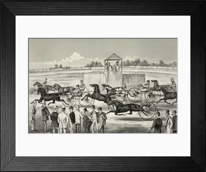 Framed Print : First trot of the season: Free for all horses go as they ple Framed Print : First trot of the season: Free for all horses go as they ple