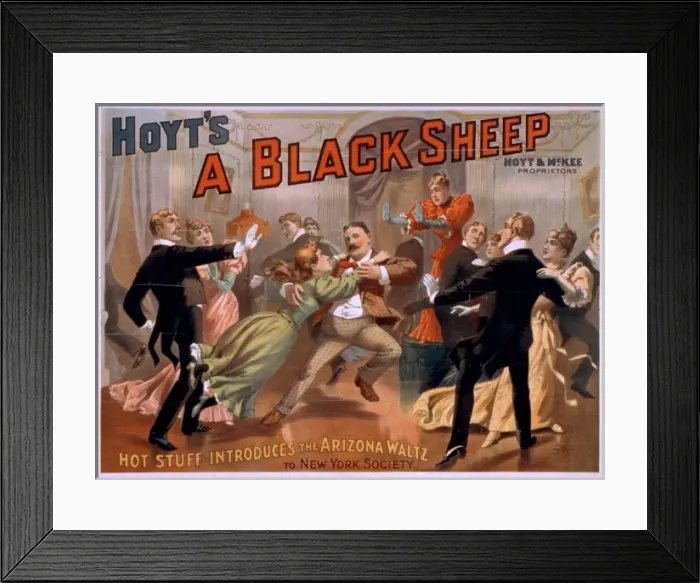 Framed Print : Hoyts A black sheep Framed Print : Hoyts A black sheep