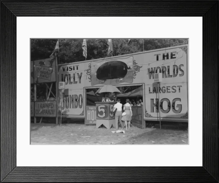 Framed Print : Midway and carnival, Shelby County Fair and Horse Show, Shel Framed Print : Midway and carnival, Shelby County Fair and Horse Show, Shel