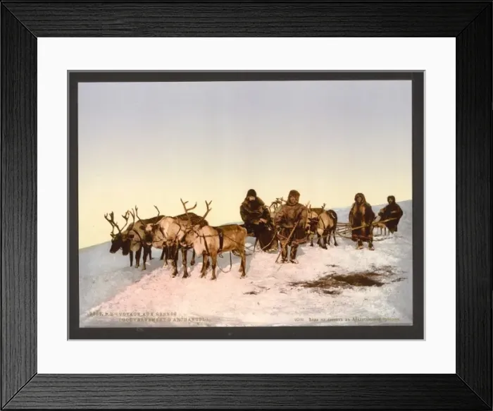 Framed Print : Traveling by reindeer, Archangel, Russia Framed Print : Traveling by reindeer, Archangel, Russia