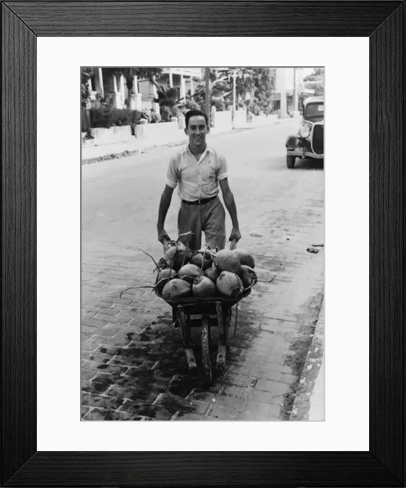 Framed Print : Coconuts, Key West, Florida Framed Print : Coconuts, Key West, Florida