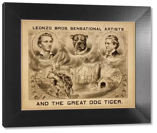 Leonzo Bros. sensational artists and the great dog, Tiger