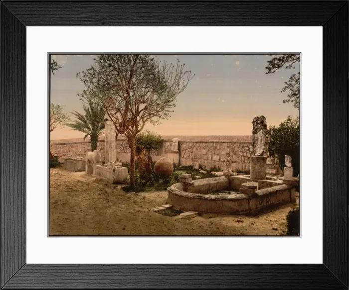 Framed Print : Museum garden, Carthage, Tunisia Framed Print : Museum garden, Carthage, Tunisia