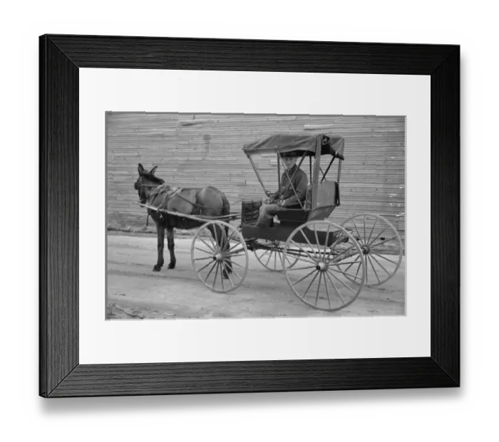 Framed Print : Native and buggy, Hoffman, North Carolina Framed Print : Native and buggy, Hoffman, North Carolina