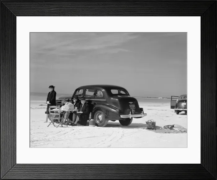 Framed Print : Guests of Sarasota trailer park, Sarasota, Florida, picnicki Framed Print : Guests of Sarasota trailer park, Sarasota, Florida, picnicki