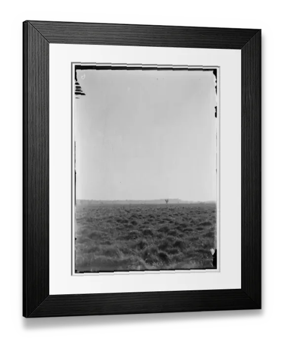 Framed Print : Series of flights from May through July, just after the open Framed Print : Series of flights from May through July, just after the open