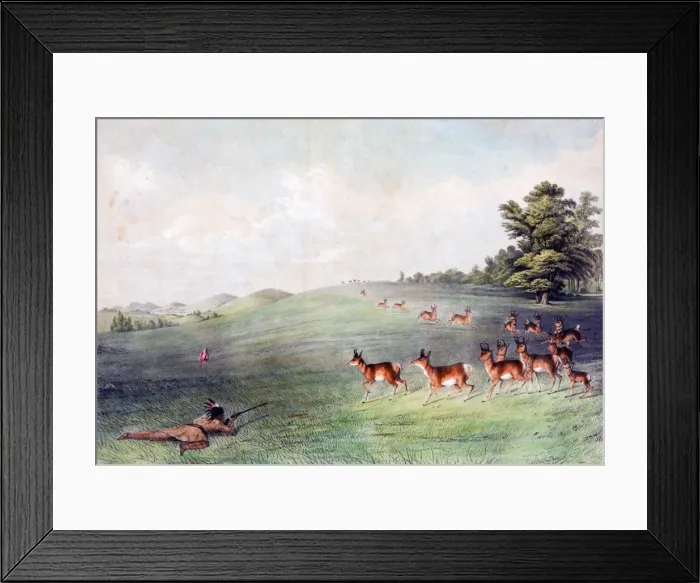 Framed Print : Native American Indian Antelope Shooting Framed Print : Native American Indian Antelope Shooting