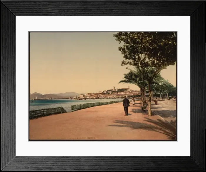 Framed Print : The boulevards, Cannes, Riviera Framed Print : The boulevards, Cannes, Riviera