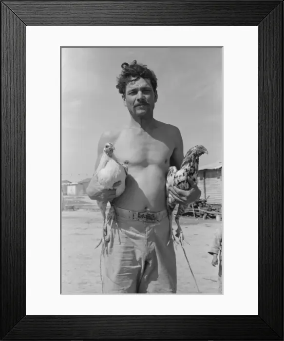 Framed Print : Mexican with his two fighting cocks, Crystal City, Texas Framed Print : Mexican with his two fighting cocks, Crystal City, Texas