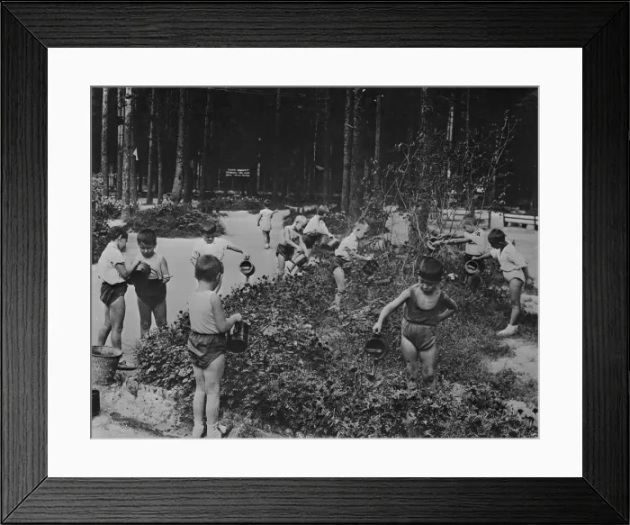Framed Print : Nursery school children out of doors watering flowers in Framed Print : Nursery school children out of doors watering flowers in
