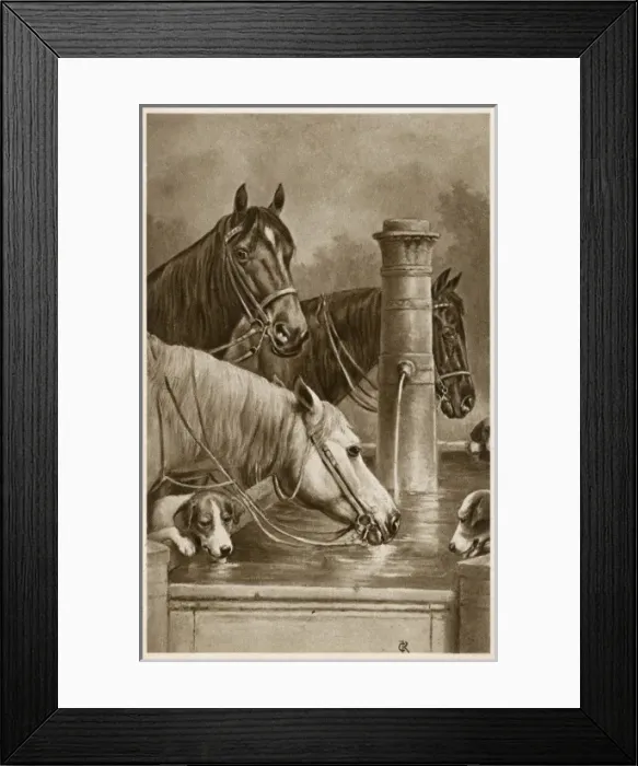 Framed Print : Horses and hounds drink from a trough Framed Print : Horses and hounds drink from a trough