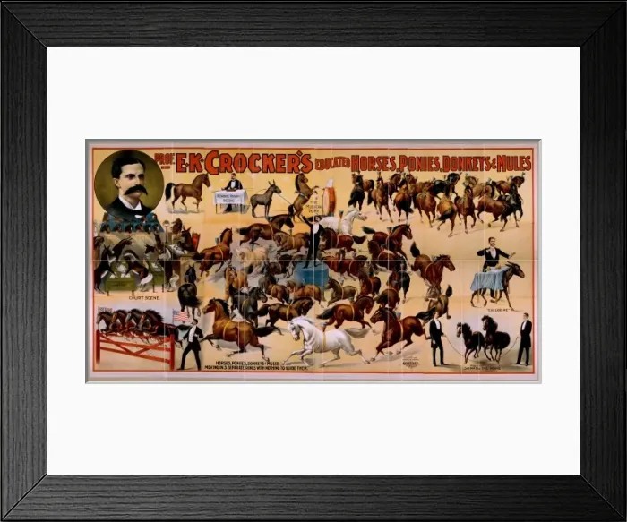 Framed Print : Prof. EK Crockers educated horses, ponies, donkeys & mules Framed Print : Prof. EK Crockers educated horses, ponies, donkeys & mules