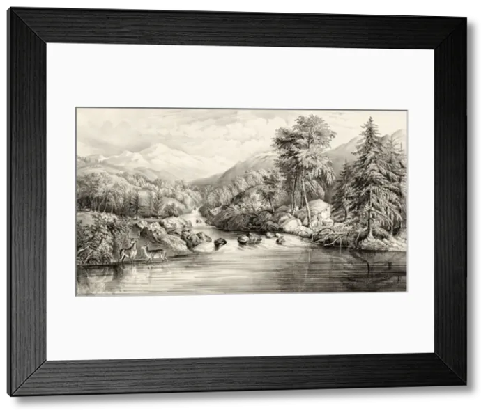 Framed Print : American Mountain Scenery Framed Print : American Mountain Scenery