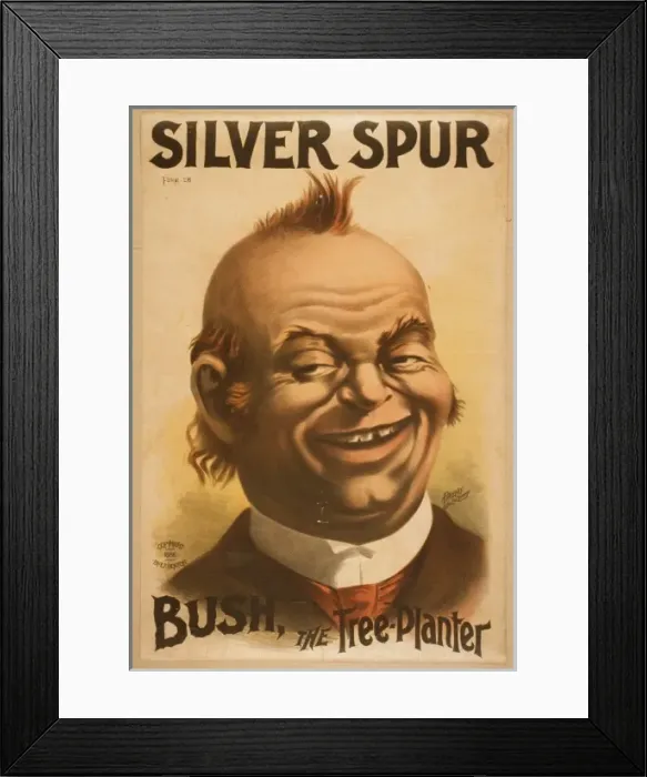 Framed Print : Silver spur Framed Print : Silver spur