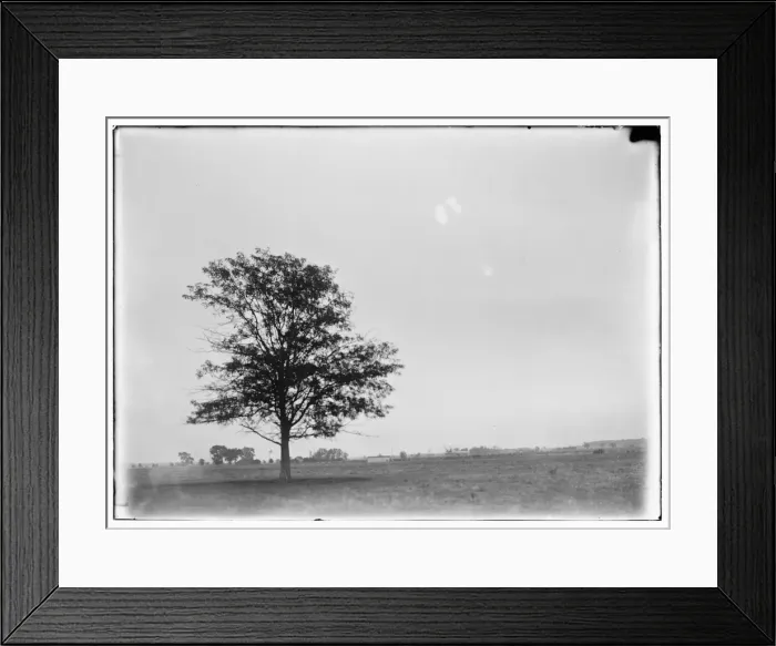 Framed Print : Long-range view of flight 69, in which Orville covered a dis Framed Print : Long-range view of flight 69, in which Orville covered a dis