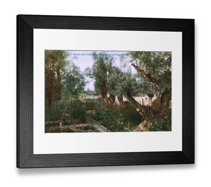 Framed Print : The Garden of Gethsemane - Jerusalem, Israel Framed Print : The Garden of Gethsemane - Jerusalem, Israel