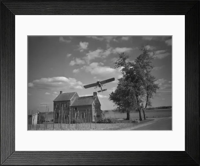 Framed Print : Dusting plane hedge-hopping after spraying swath on beanfiel Framed Print : Dusting plane hedge-hopping after spraying swath on beanfiel