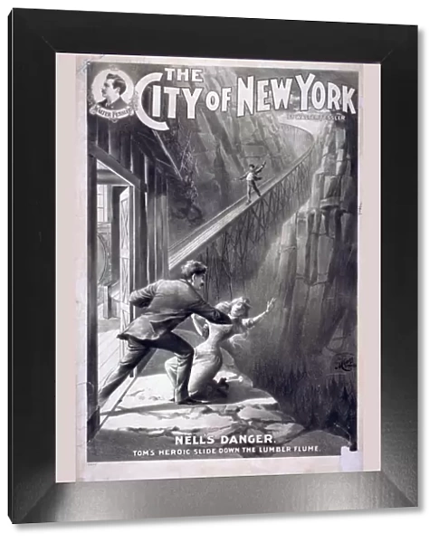 The city of New York by Walter Fessler