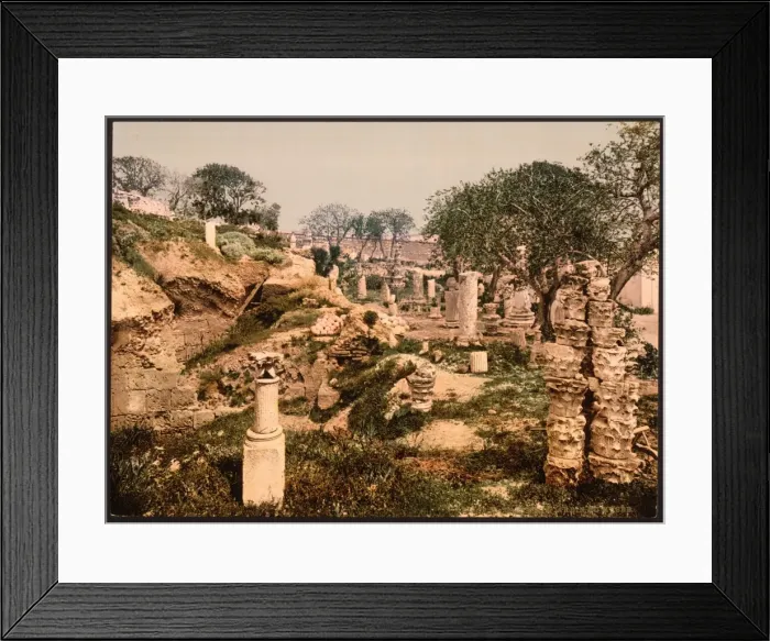 Framed Print : Museum garden, II, Carthage, Tunisia Framed Print : Museum garden, II, Carthage, Tunisia