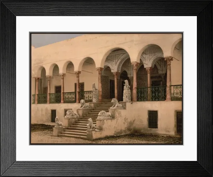 Framed Print : Bardo, the lion staircase, Tunis, Tunisia Framed Print : Bardo, the lion staircase, Tunis, Tunisia