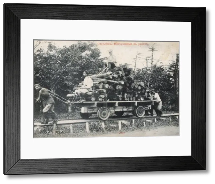 Framed Print : Sakhalin Island, Russia - Convicts at working moving timber Framed Print : Sakhalin Island, Russia - Convicts at working moving timber